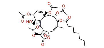 Briarlide I